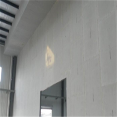 昌江宁波ALC板|EPS加气板隔墙与混凝土整浇联接的实验研讨